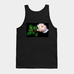 Gentle light pink rose against black background Tank Top